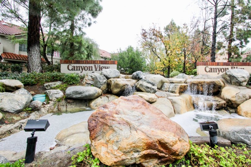 Canyon View Condos, Lofts & Townhomes For Sale Canyon View Real