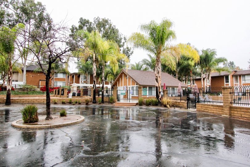 Cedar Glen Condos, Lofts & Townhomes For Sale Cedar Glen Real Estate