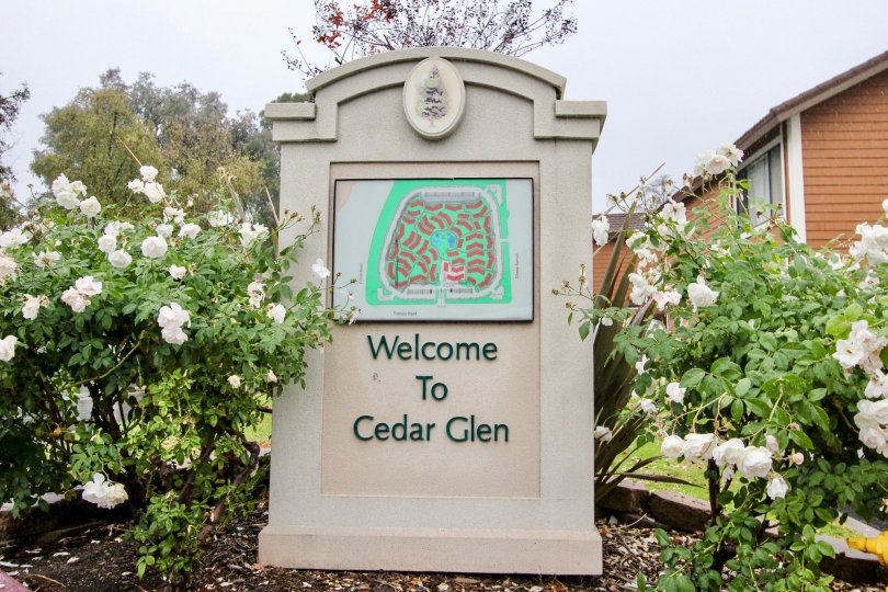 Cedar Glen Condos, Lofts & Townhomes For Sale Cedar Glen Real Estate