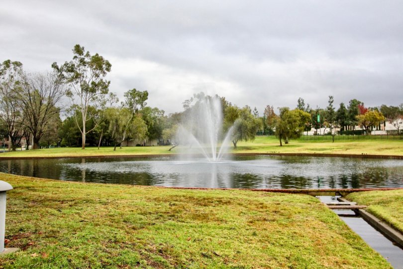 Lake Forest Keys Condos, Lofts & Townhomes For Sale Lake Forest Keys