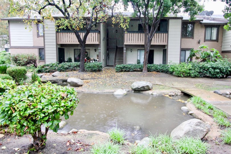 Pheasant Creek Condos, Lofts & Townhomes For Sale Pheasant Creek Real