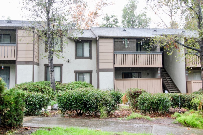 Pheasant Creek Condos, Lofts & Townhomes For Sale Pheasant Creek Real