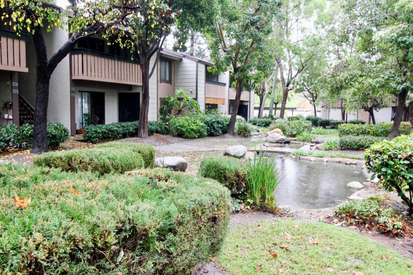 Pheasant Creek Condos, Lofts & Townhomes For Sale Pheasant Creek Real