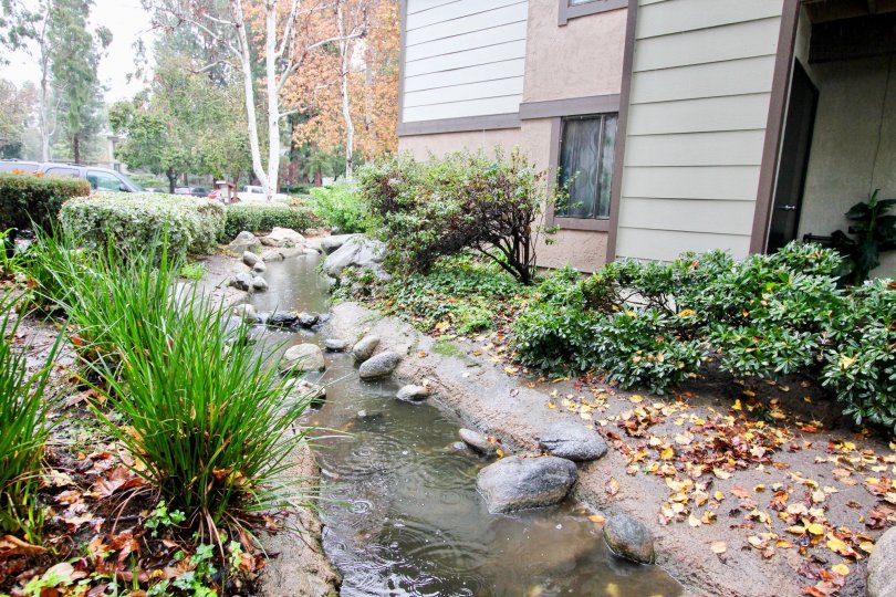 Pheasant Creek Condos, Lofts & Townhomes For Sale Pheasant Creek Real