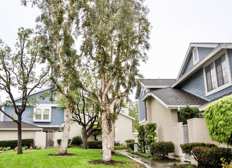 San Remo Villas Condos, Lofts & Townhomes For Sale San Remo Villas