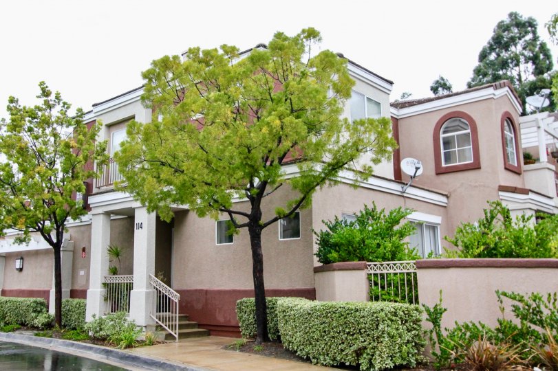 The Vineyards Condos, Lofts & Townhomes For Sale The Vineyards Real