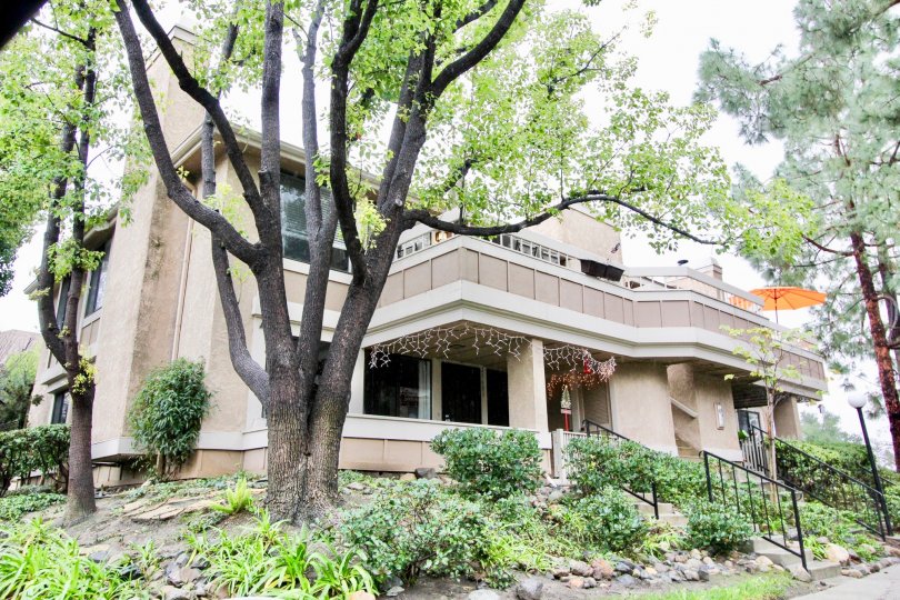 White Oak Condos, Lofts & Townhomes For Sale White Oak Real Estate