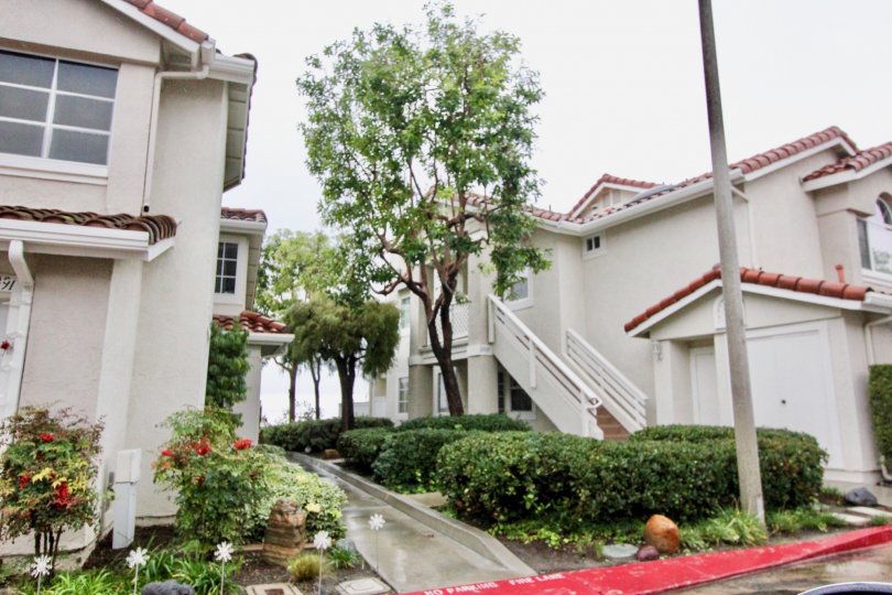 Willow Glen Condos, Lofts & Townhomes For Sale Willow Glen Real