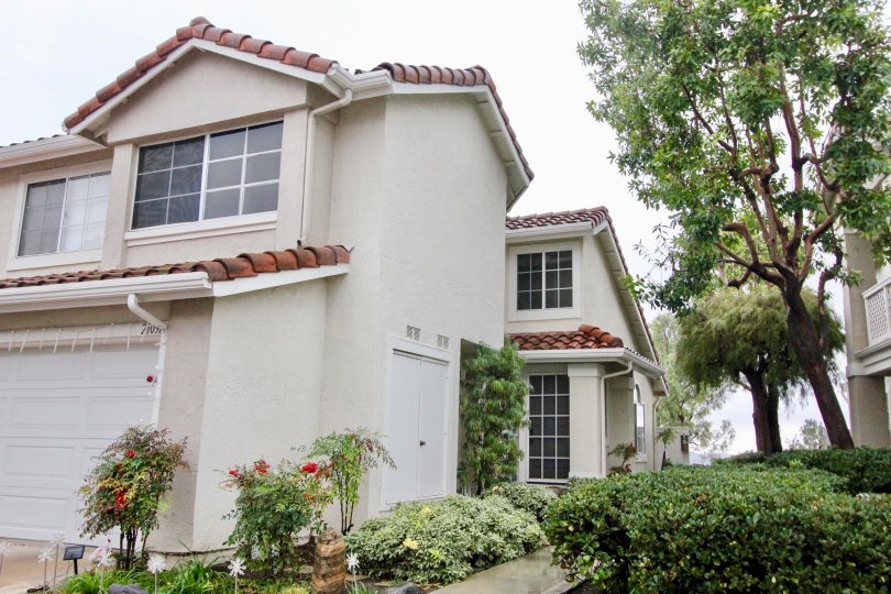 Willow Glen Condos, Lofts & Townhomes For Sale Willow Glen Real