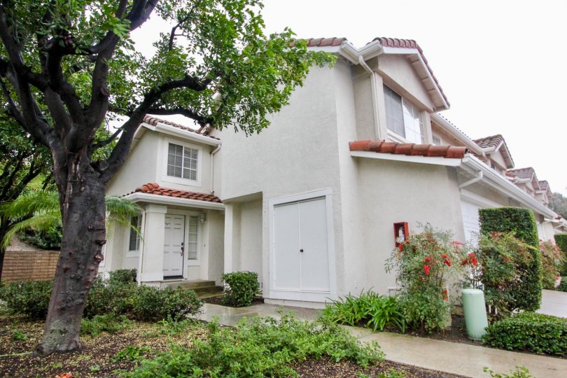 Willow Glen Condos, Lofts & Townhomes For Sale Willow Glen Real