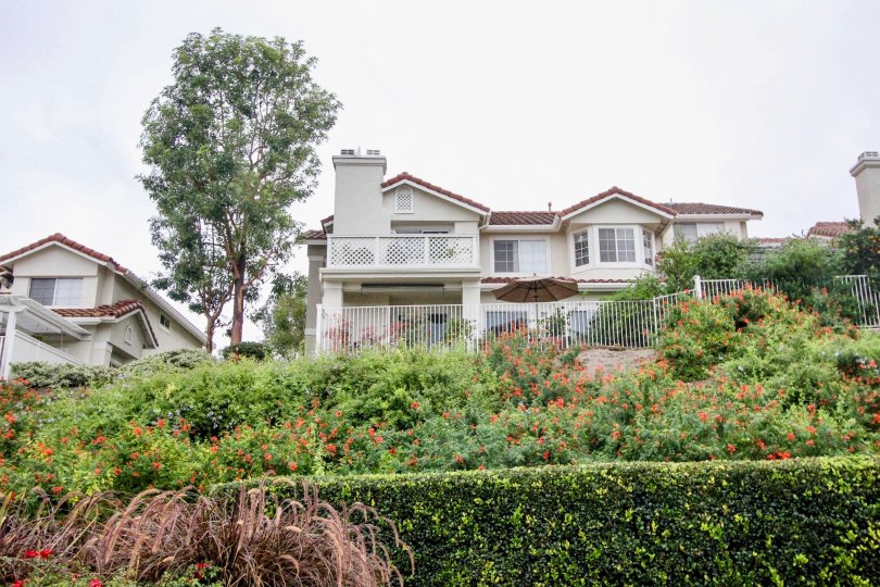 Willow Glen Condos, Lofts & Townhomes For Sale Willow Glen Real