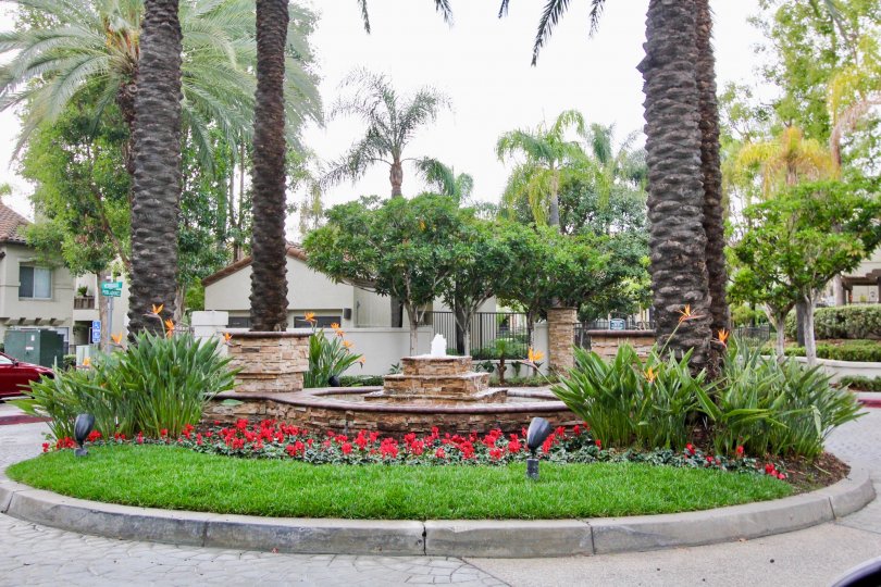 Ashton Condos, Lofts & Townhomes For Sale Ashton Real Estate Ashton