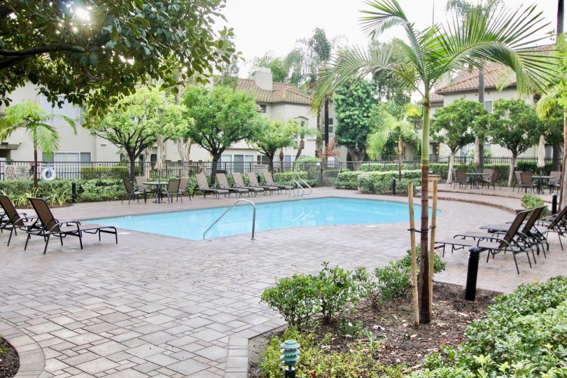 Ashton Condos, Lofts & Townhomes For Sale Ashton Real Estate Ashton, Mission Viejo CA