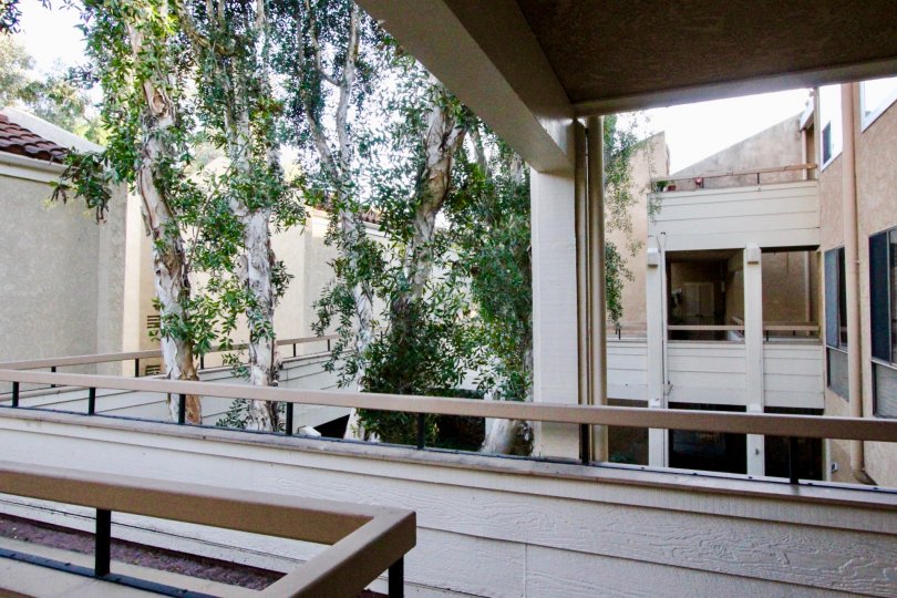 Baja Finisterra Condos, Lofts & Townhomes For Sale Baja Finisterra