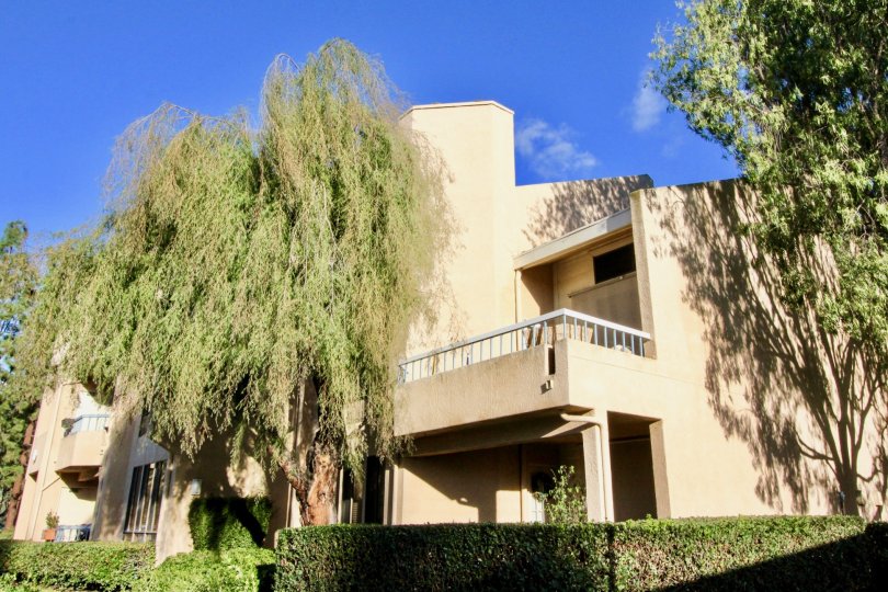 Baja Finisterra Condos, Lofts & Townhomes For Sale Baja Finisterra