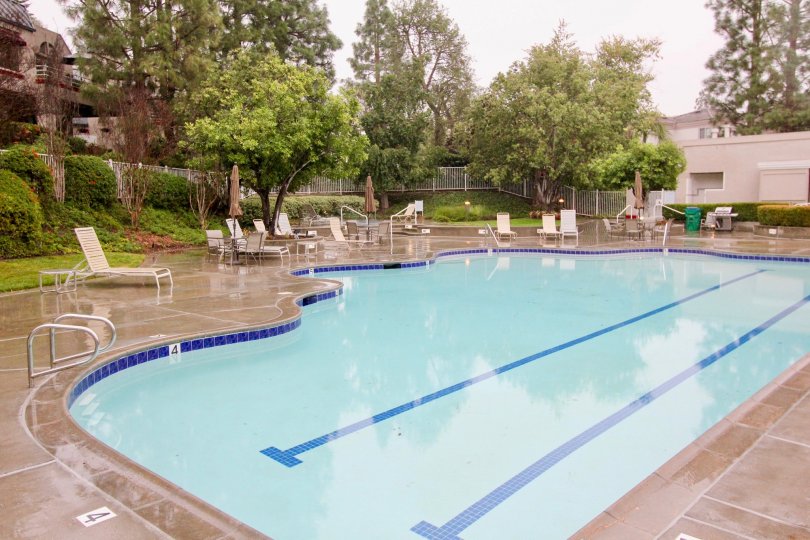 Cypress Point Condos, Lofts & Townhomes For Sale Cypress Point Real