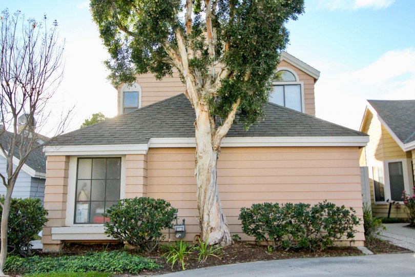 Eastbrook Condos, Lofts & Townhomes For Sale Eastbrook Real Estate