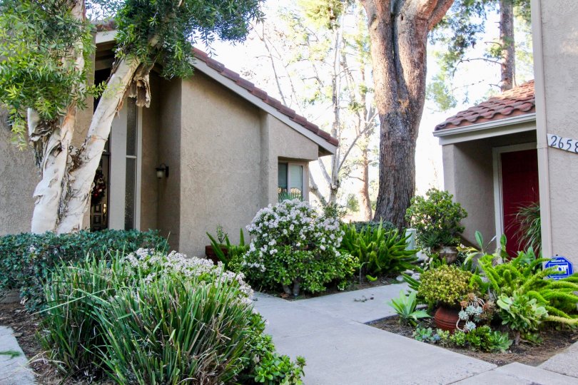 La Mancha Condos, Lofts & Townhomes For Sale La Mancha Real Estate