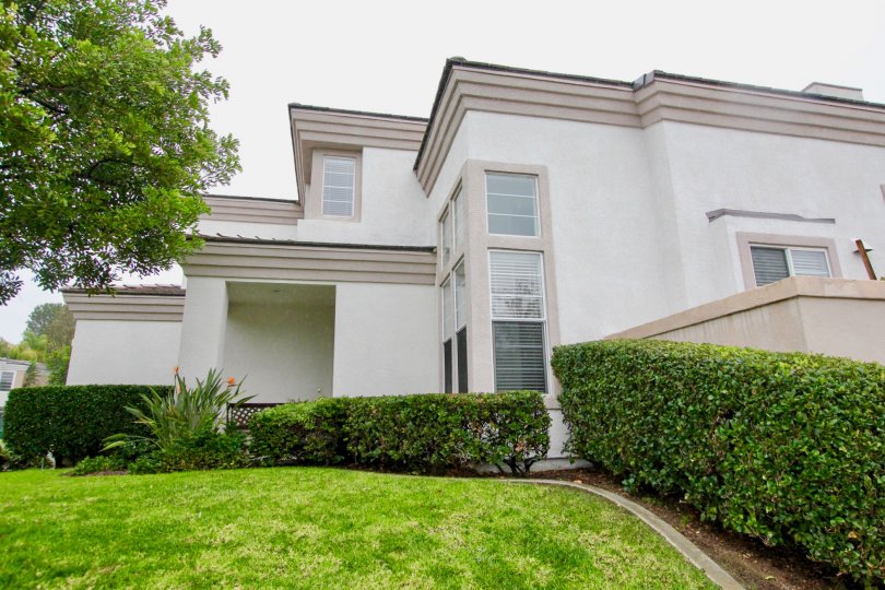 Lake Ridge Condos, Lofts & Townhomes For Sale Lake Ridge Real Estate