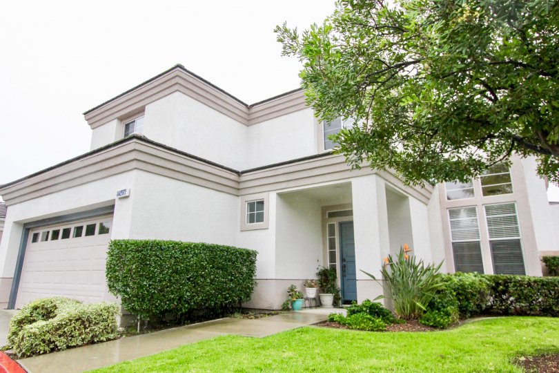 Lake Ridge Condos, Lofts & Townhomes For Sale Lake Ridge Real Estate