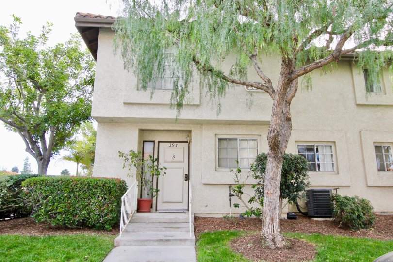 Las Palmas Condos, Lofts & Townhomes For Sale Las Palmas Real Estate