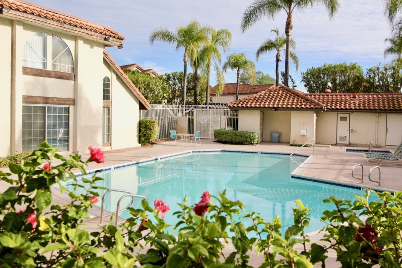 Las Palmas Condos, Lofts & Townhomes For Sale Las Palmas Real Estate