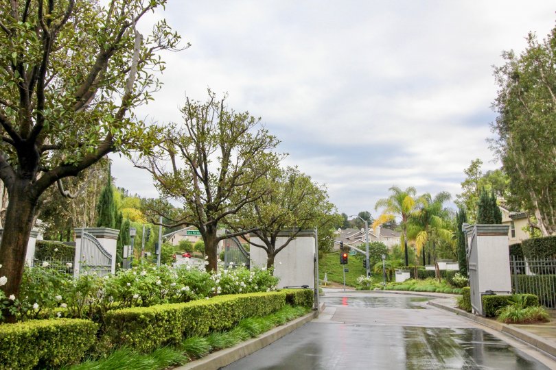 Mirasol Condos, Lofts & Townhomes For Sale Mirasol Real Estate