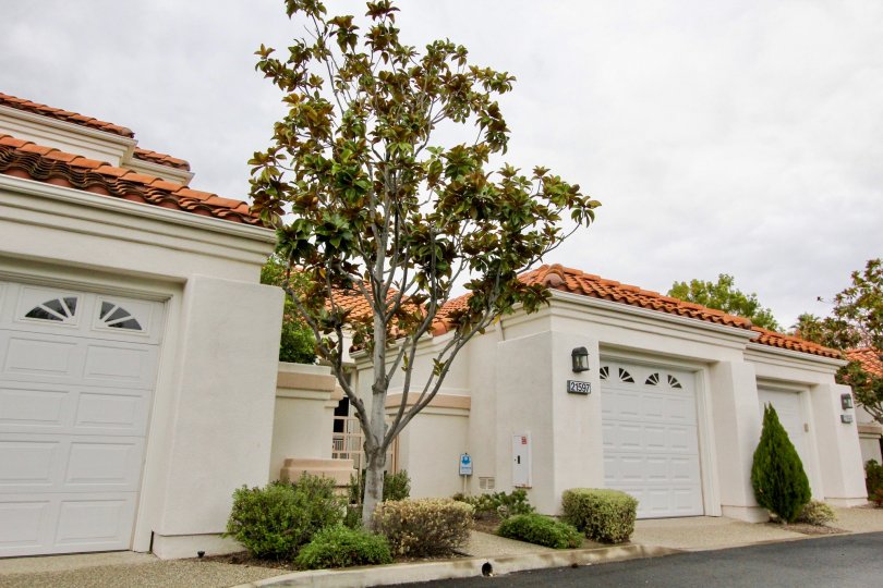 Palmia Courts 1 Condos, Lofts & Townhomes For Sale Palmia Courts 1 Real Estate Palmia Courts