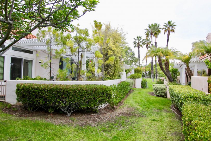 Palmia Courts 1 Condos, Lofts & Townhomes For Sale Palmia Courts 1 Real Estate Palmia Courts