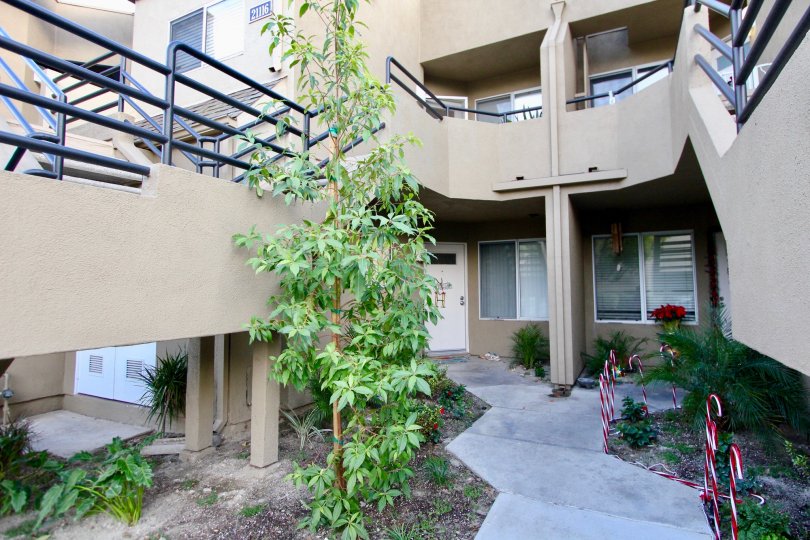 Rainbow Ridge Condos, Lofts & Townhomes For Sale Rainbow Ridge Real