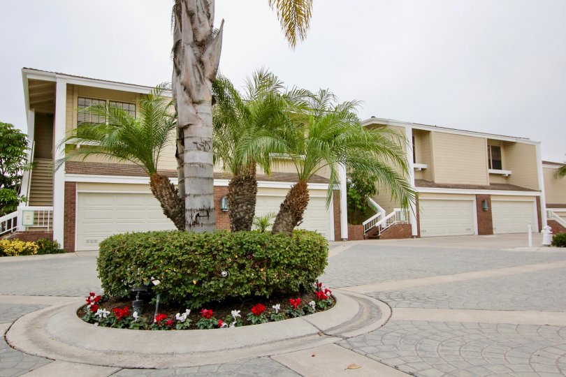 Bayside Cove Condos, Lofts & Townhomes For Sale Bayside Cove Real