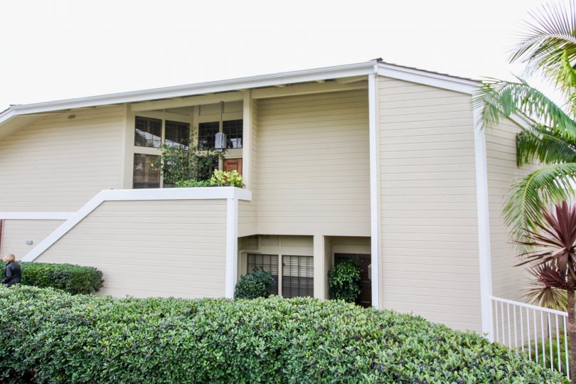 Bayside Cove Condos, Lofts & Townhomes For Sale Bayside Cove Real