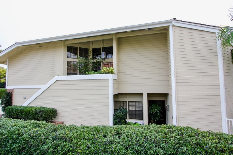 Bayside Cove Condos, Lofts & Townhomes For Sale Bayside Cove Real