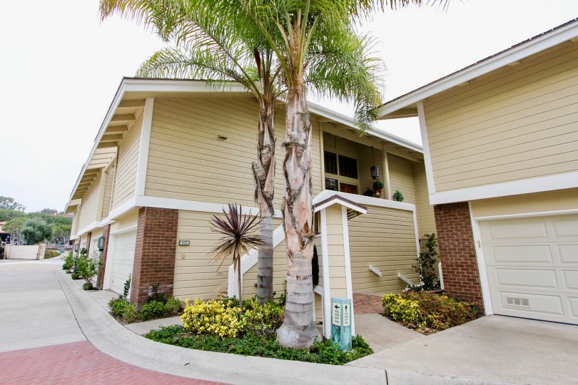 Bayside Cove Condos, Lofts & Townhomes For Sale Bayside Cove Real