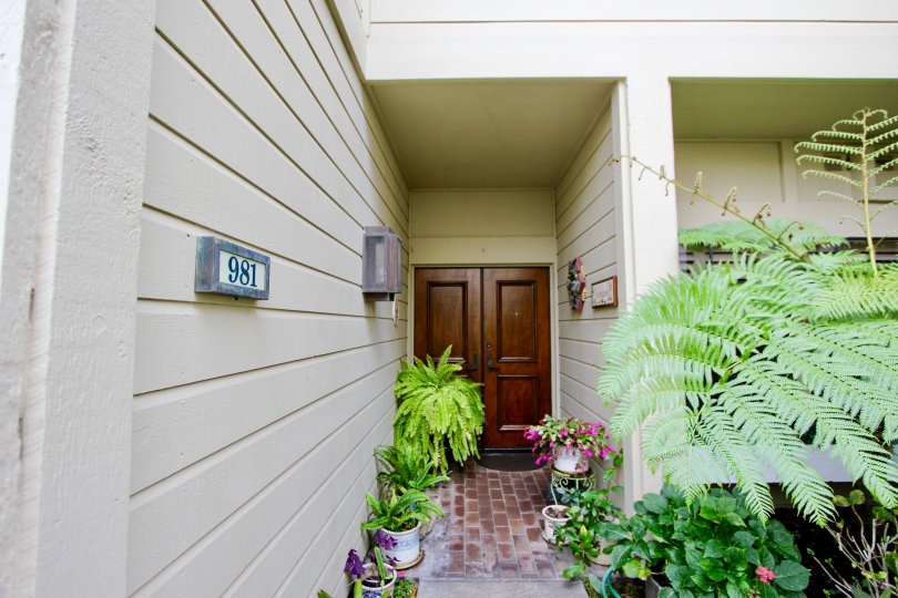 Bayside Cove Condos, Lofts & Townhomes For Sale Bayside Cove Real Estate Bayside Cove