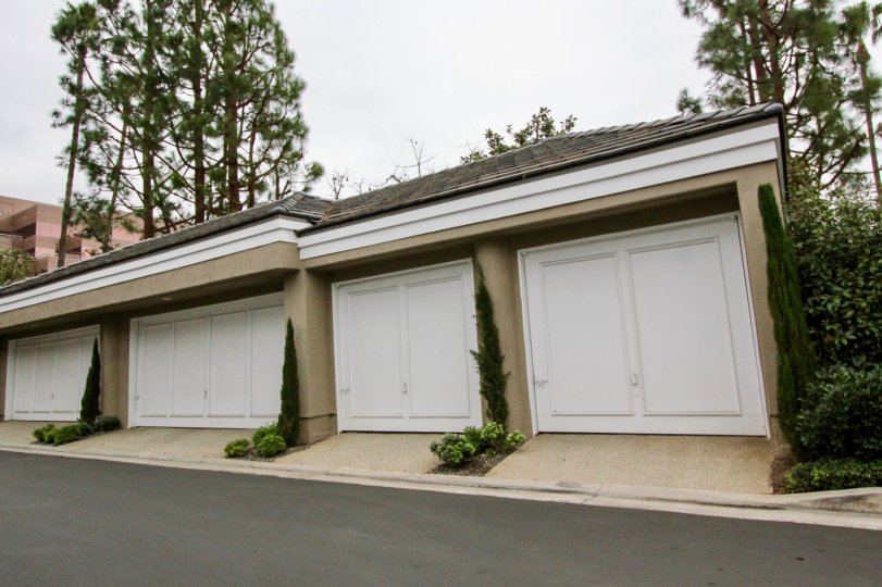 Bayview Court Condos, Lofts & Townhomes For Sale Bayview Court Real