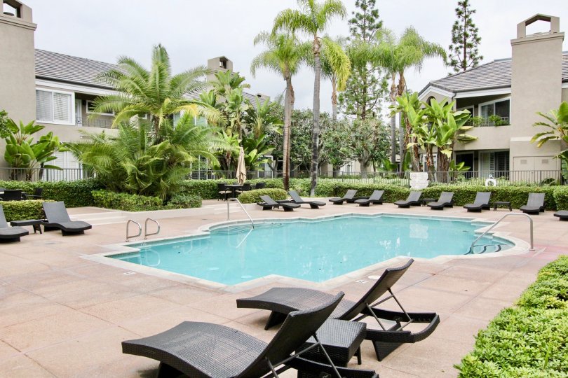 Bayview Court Condos Lofts Townhomes For Sale Bayview Court Real