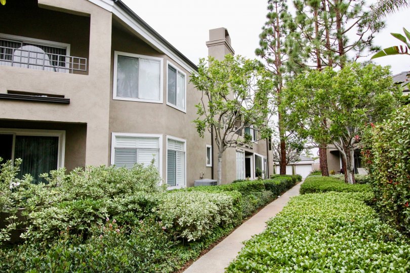 Bayview Court Condos, Lofts & Townhomes For Sale Bayview Court Real