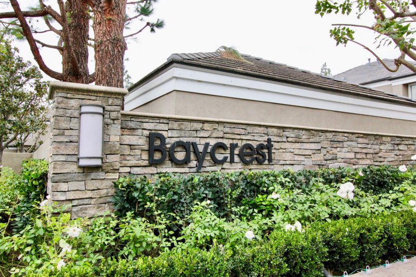 Bayview Court Condos, Lofts & Townhomes For Sale Bayview Court Real