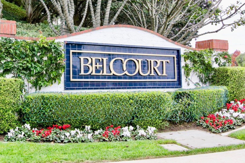 Belcourt Terrace Condos, Lofts & Townhomes For Sale Belcourt Terrace