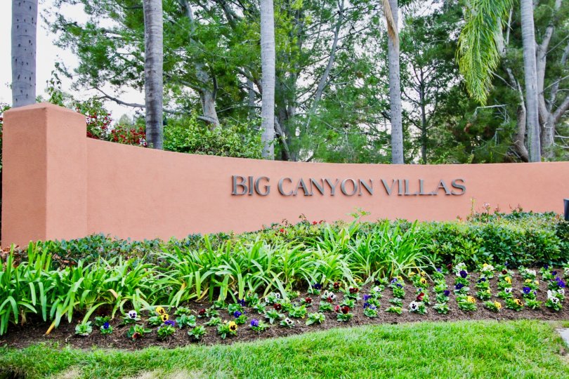 Big Canyon Villas Condos, Lofts & Townhomes For Sale Big Canyon