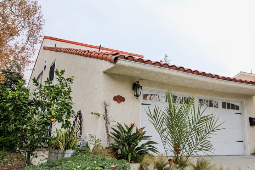 Bluffs Tennis Villas Condos, Lofts & Townhomes For Sale ...