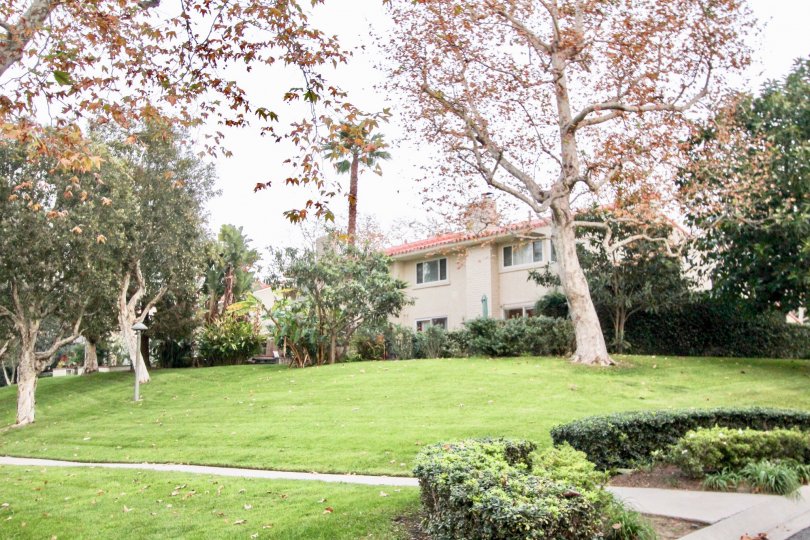 Bluffs Tennis Villas Condos, Lofts & Townhomes For Sale ...