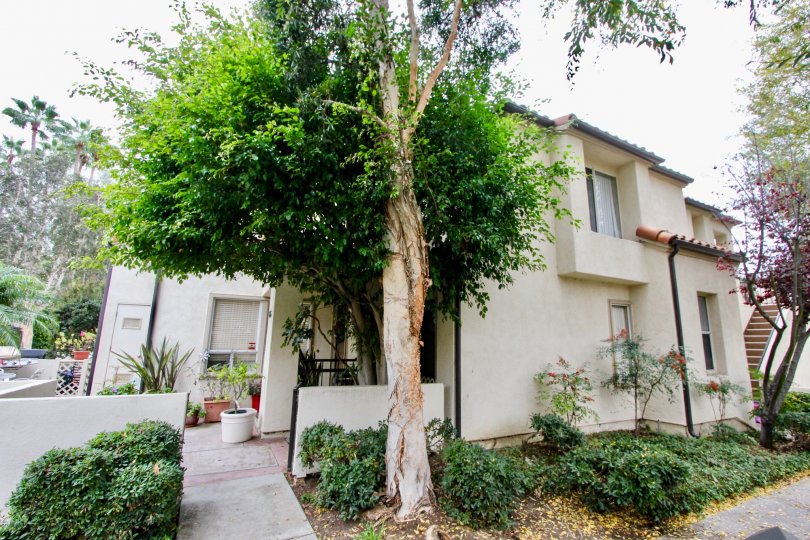 Corsica Villas Condos, Lofts & Townhomes For Sale Corsica Villas Real