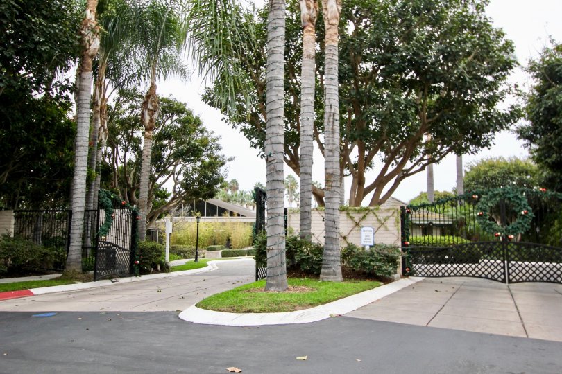 Granville Condos, Lofts & Townhomes For Sale Granville Real Estate