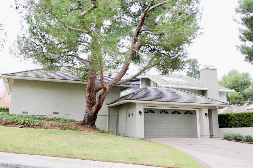 Harbor Ridge Crest Condos, Lofts & Townhomes For Sale Harbor Ridge