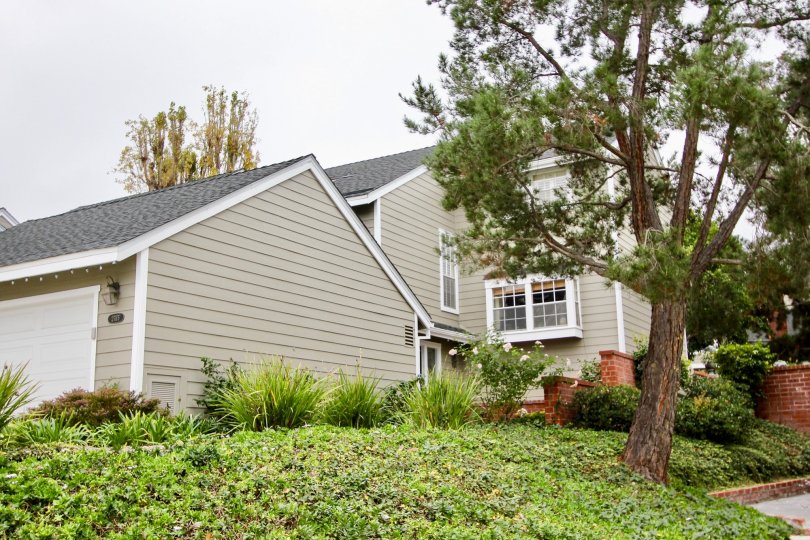 Harbor View Knoll Condos, Lofts & Townhomes For Sale Harbor View Knoll Real Estate Harbor