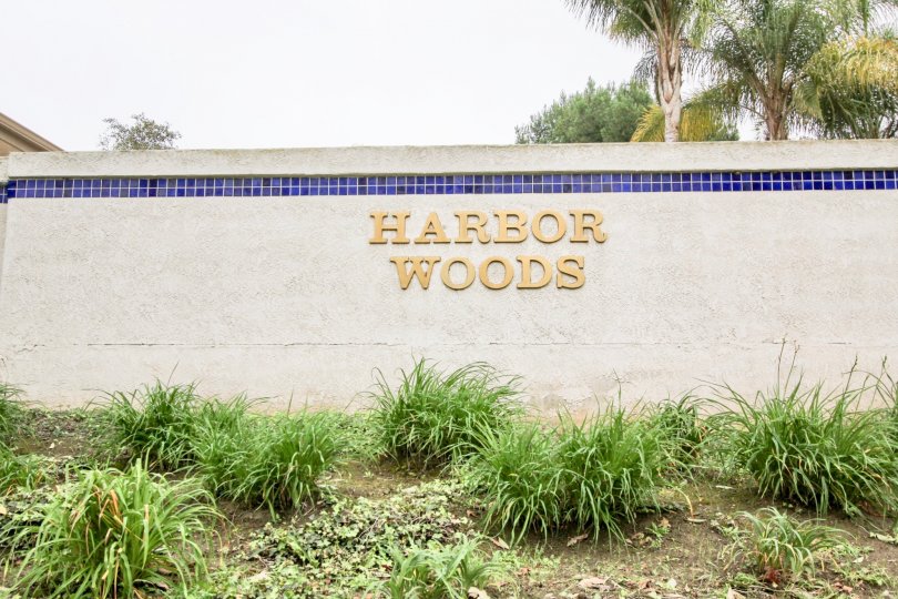 Harbor Woods Condos, Lofts & Townhomes For Sale Harbor Woods Real