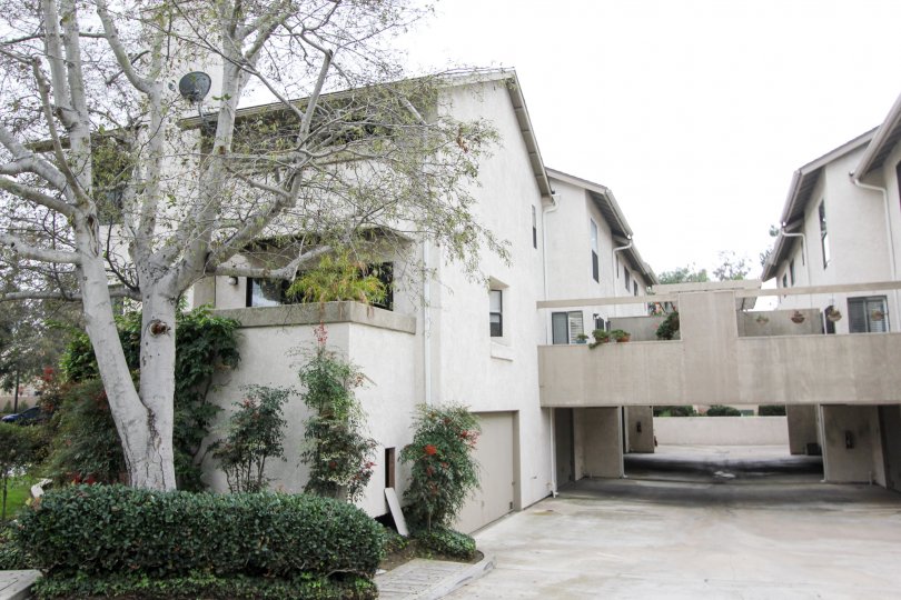 Harbor Woods Condos, Lofts & Townhomes For Sale Harbor Woods Real