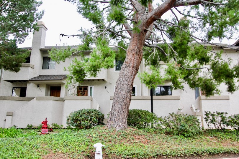 Harbor Woods Condos, Lofts & Townhomes For Sale Harbor Woods Real